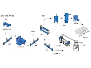 Soybean Processing Line