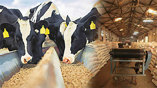 1-18TPH Ring Die Feed Pellet Machine